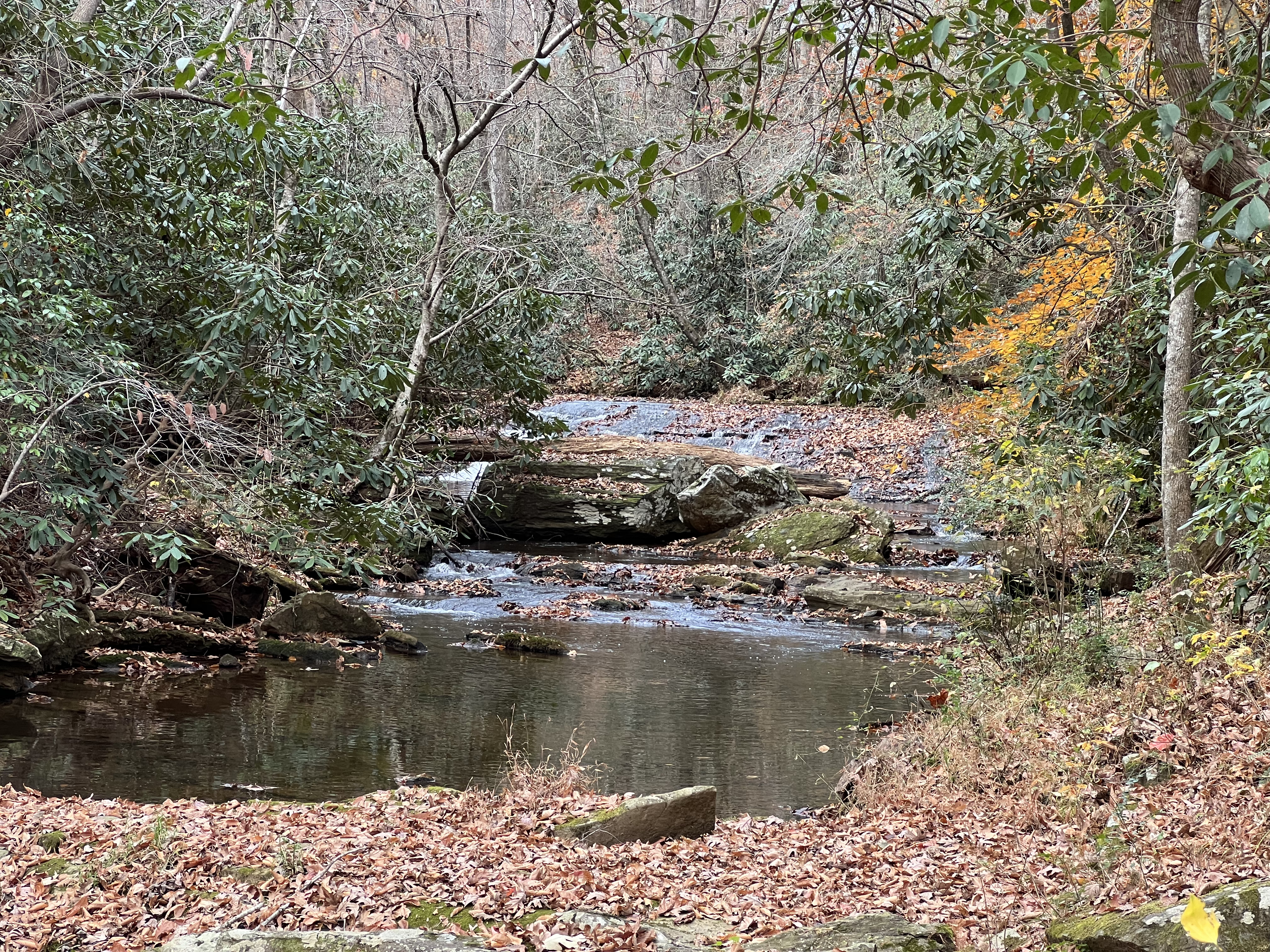 ./2023/13 - Elkin/IMG_0538.jpg